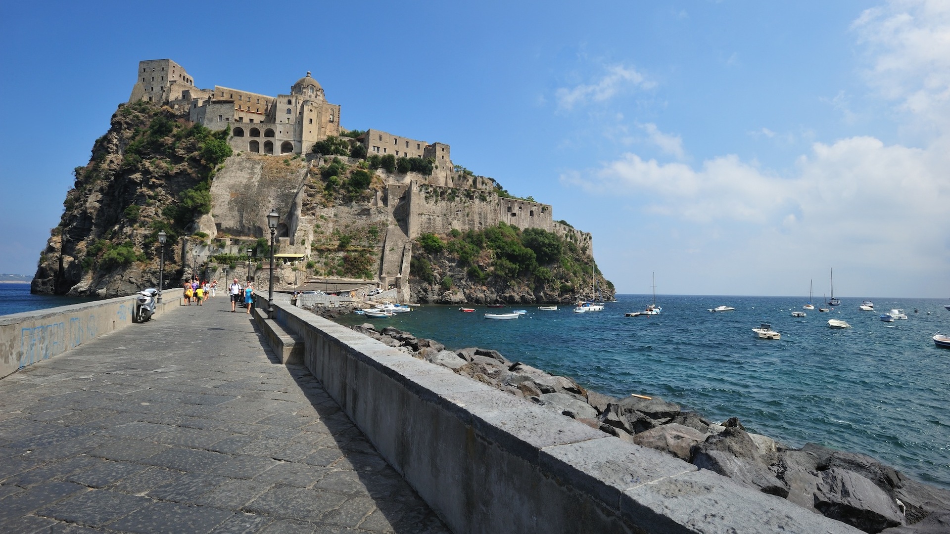 Cruise Image 1